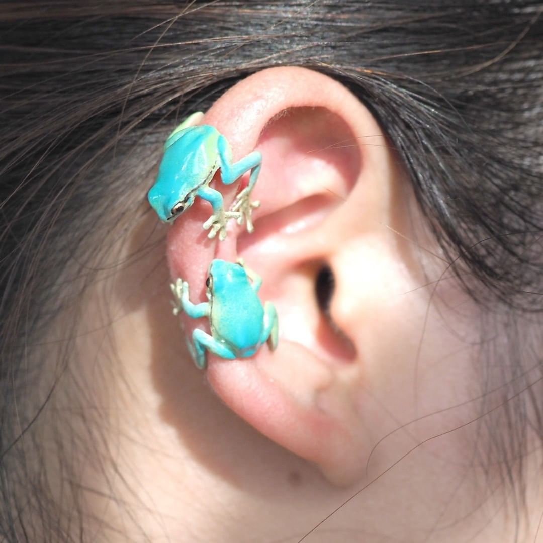 Tree Frog Ring & Earrings