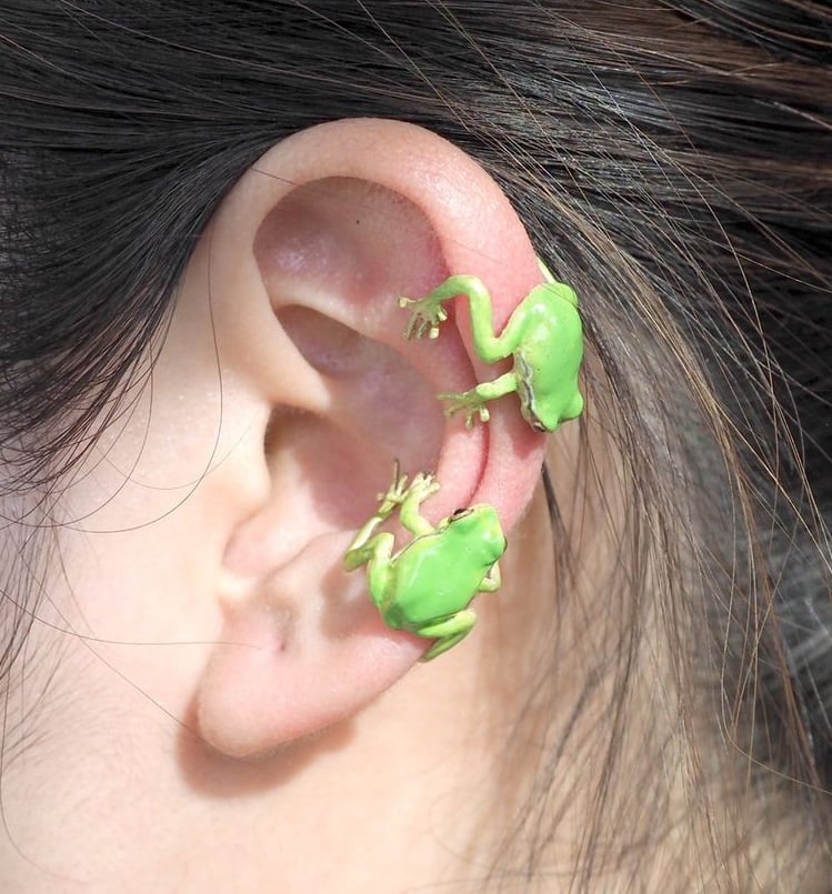 Tree Frog Ring & Earrings