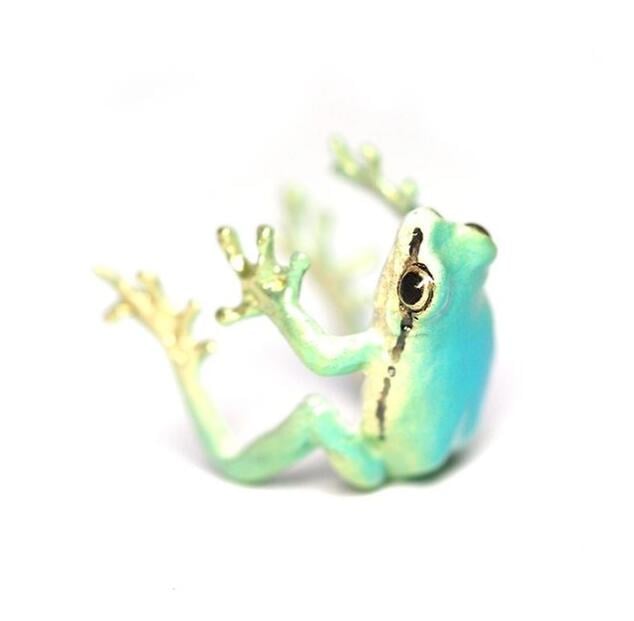 Tree Frog Ring & Earrings