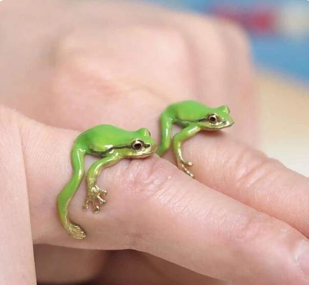 Tree Frog Ring & Earrings