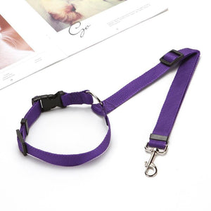 Adjustable Car Dog Leash