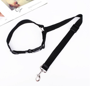 Adjustable Car Dog Leash